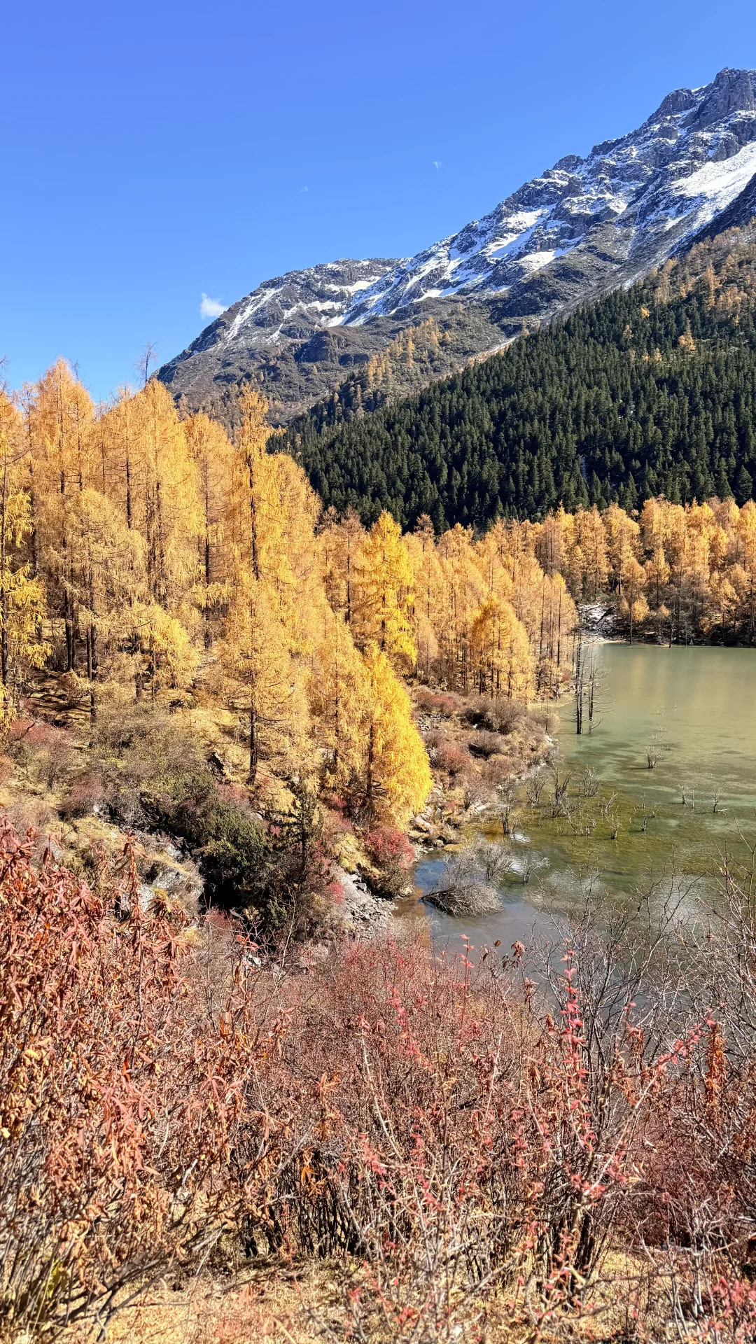 去玛嘉沟的人嘴真严