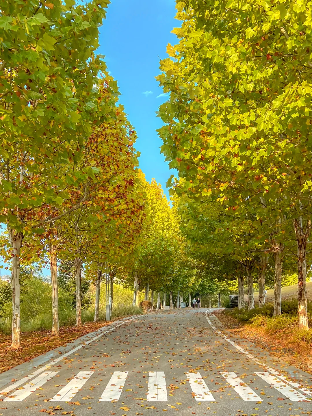 地铁直达的世外桃源，竟然99%南昌人没来过！