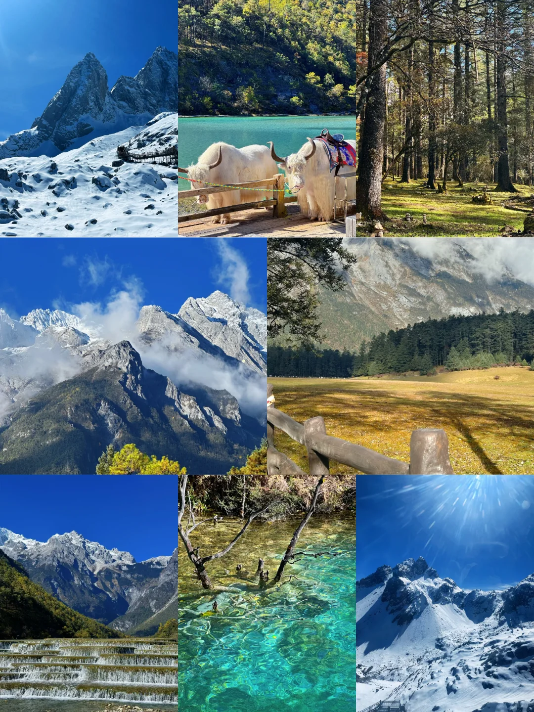 丽江玉龙雪山保姆级攻略｜4人实测踩雷&省钱