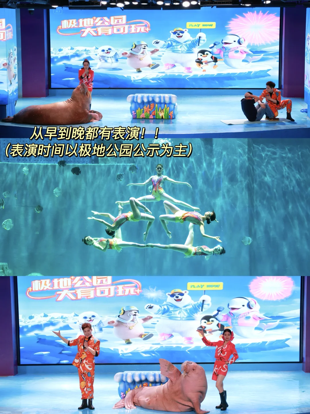 淡季哈尔滨📍旅游攻略（体验感拉满💕