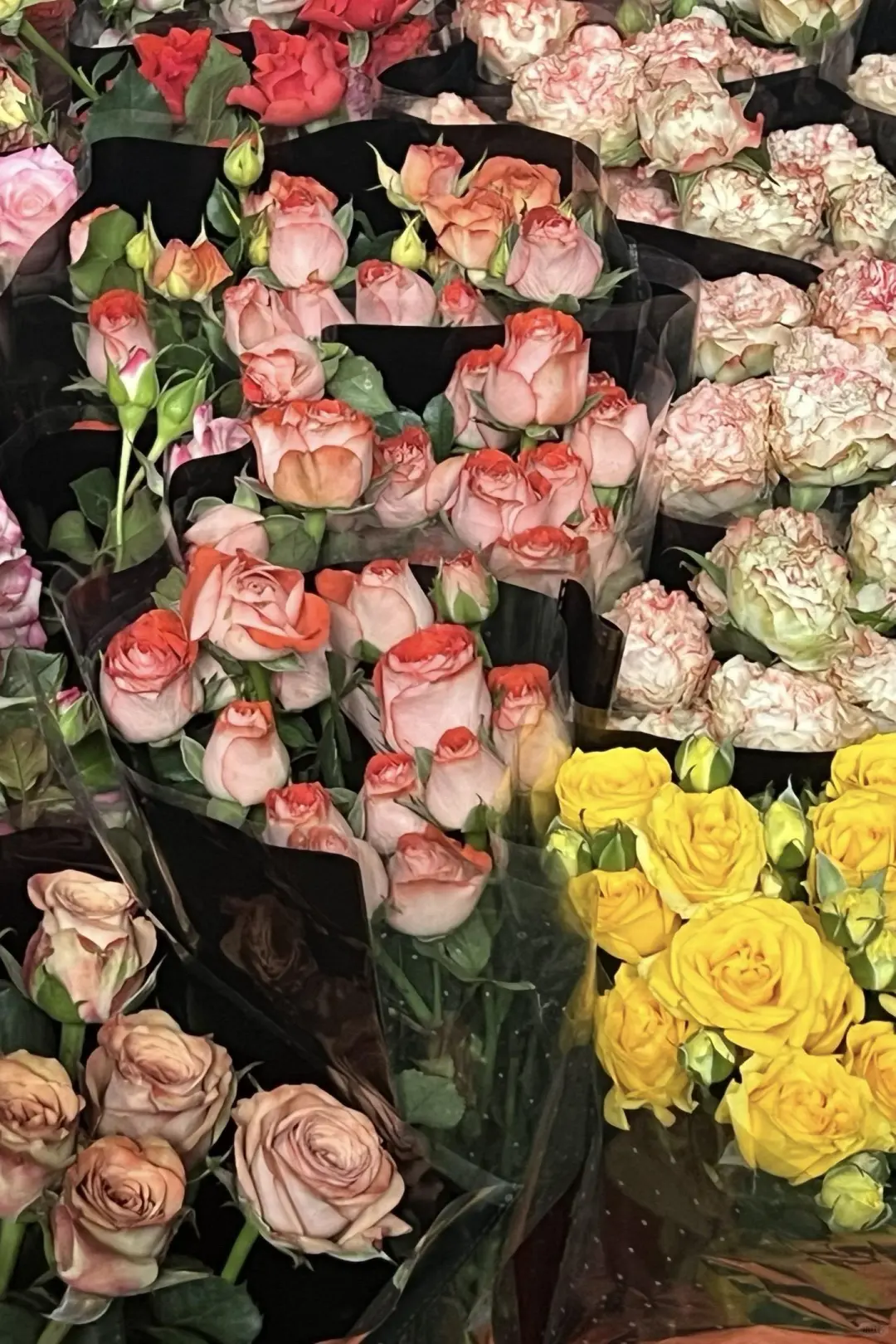 国庆来云南✅这份云南旅游攻略别错过❗码住