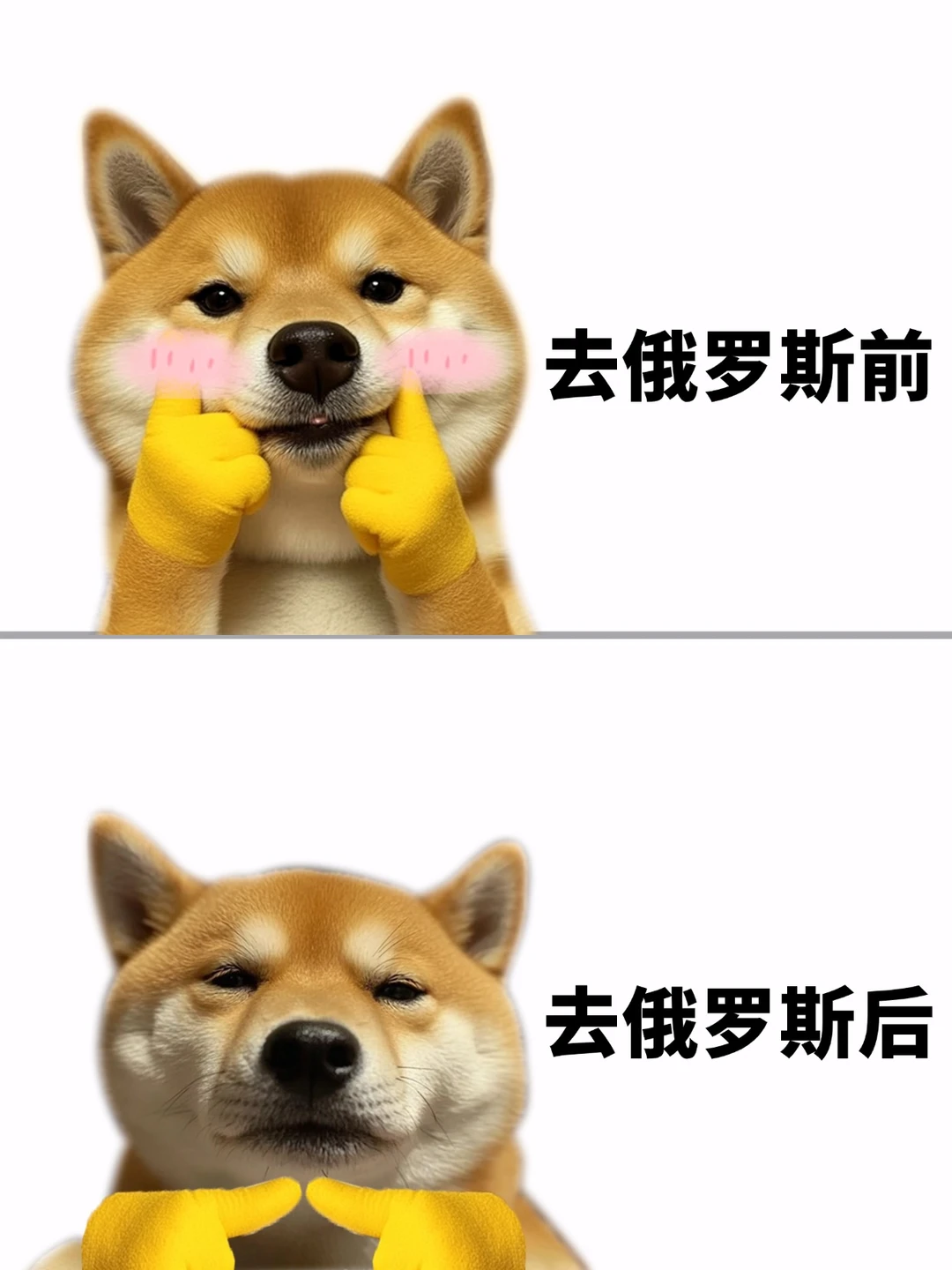 俄罗斯旅游攻略，带你玩转俄罗斯