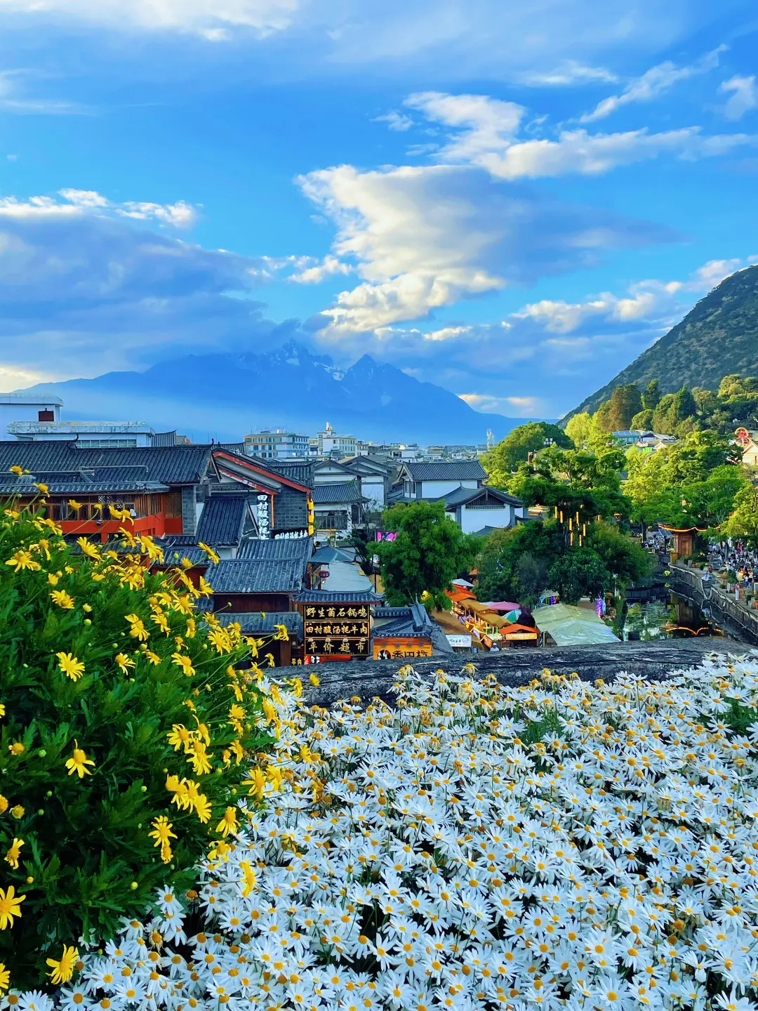 国庆来云南✅这份云南旅游攻略别错过❗码住