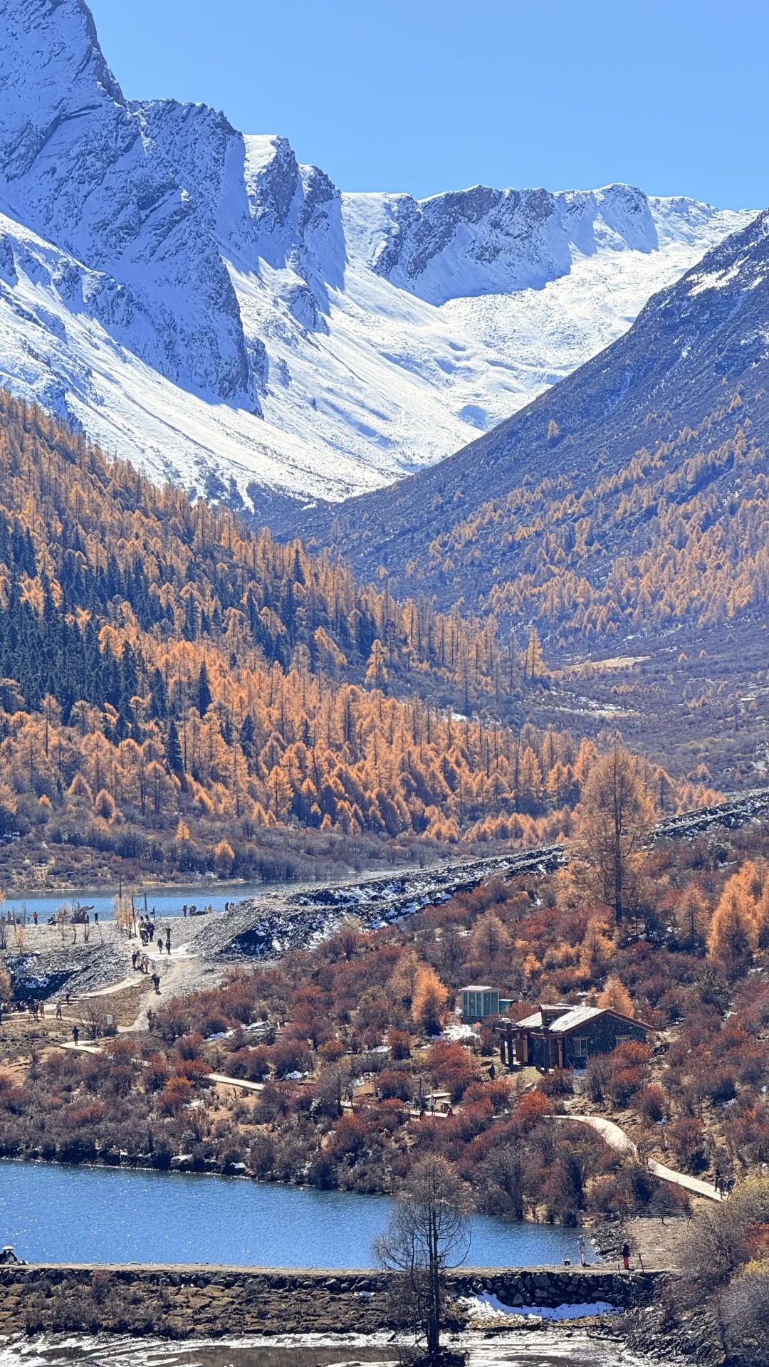 去玛嘉沟的人嘴真严