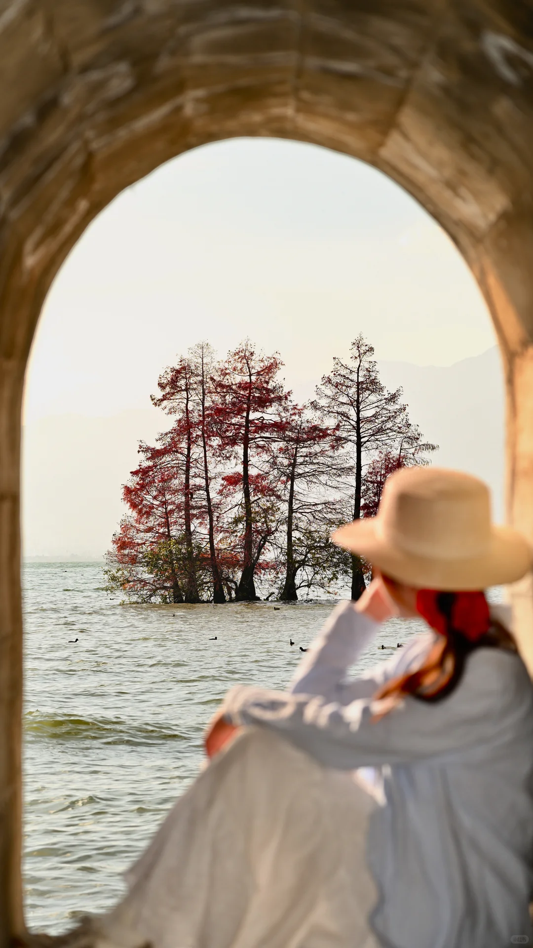 迄今为止最喜欢的秋日旅行地🍂大理两日攻略
