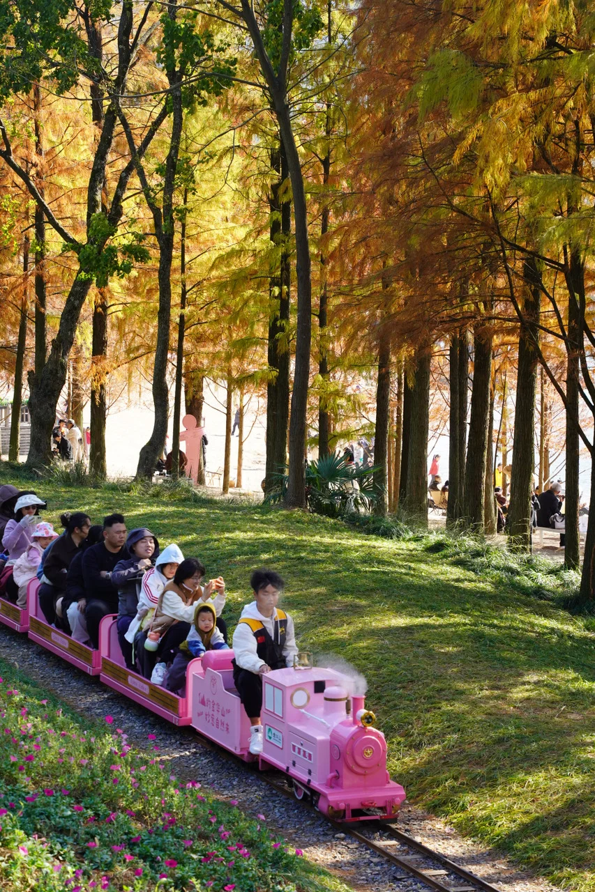 金华山踏秋全攻略🍂｜闯入“一山仙境”
