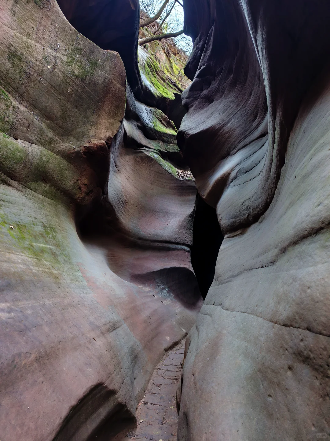 山西行｜Day4️⃣延安-靖边