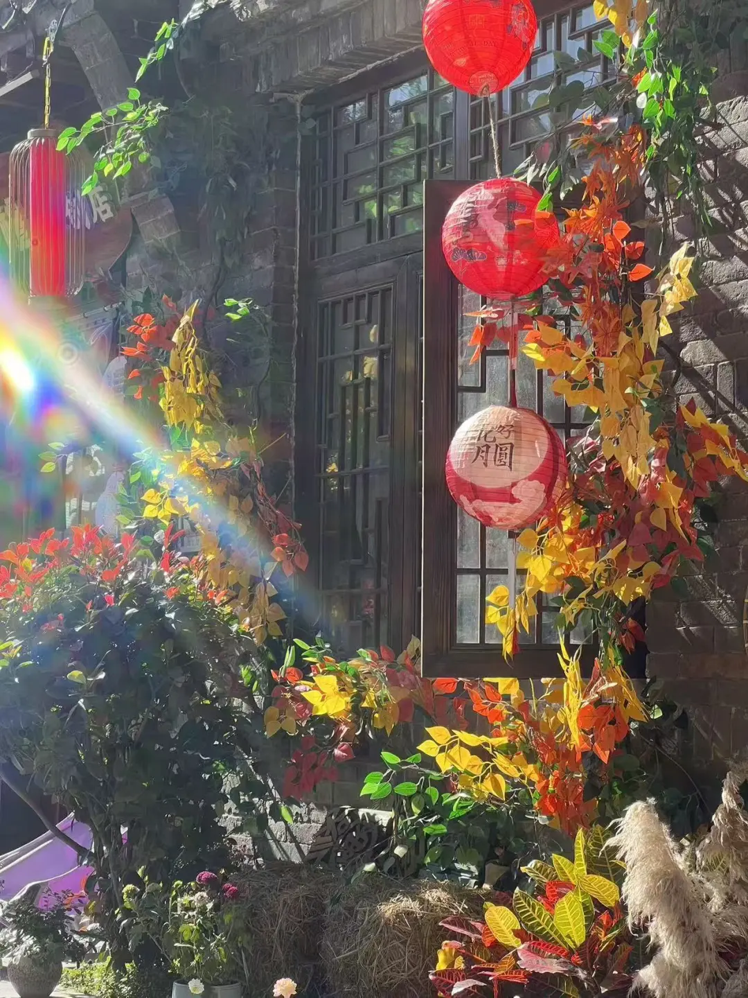 🍂邯郸秋日漫步