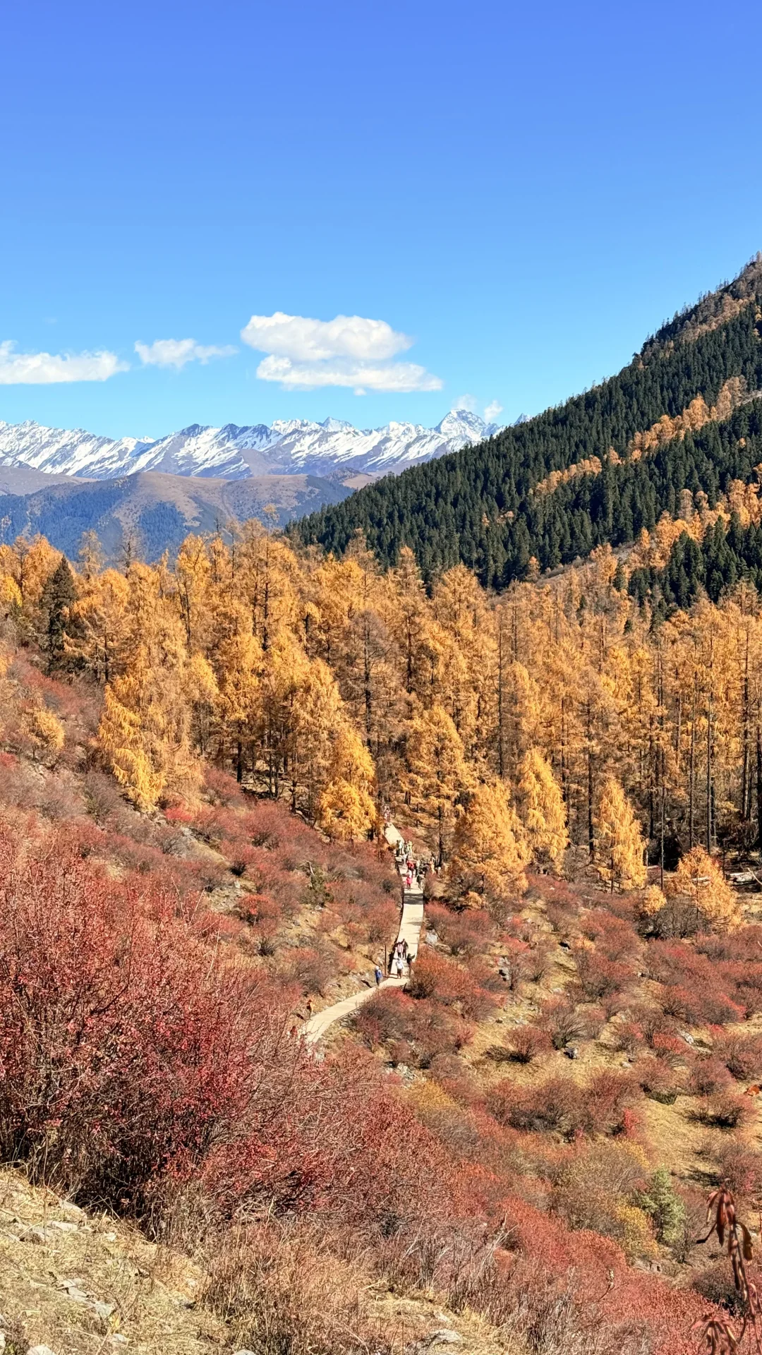 去玛嘉沟的人嘴真严