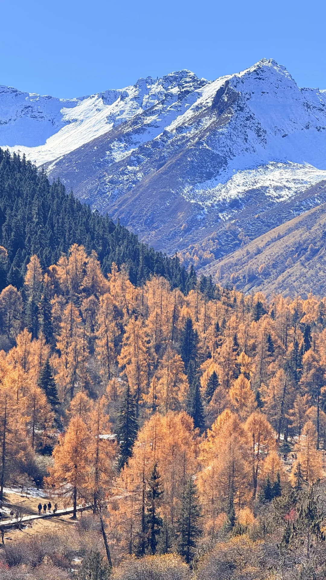 去玛嘉沟的人嘴真严