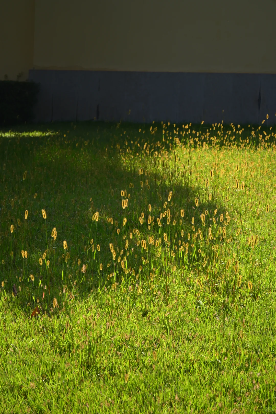 邯郸赵苑 | 初秋风光