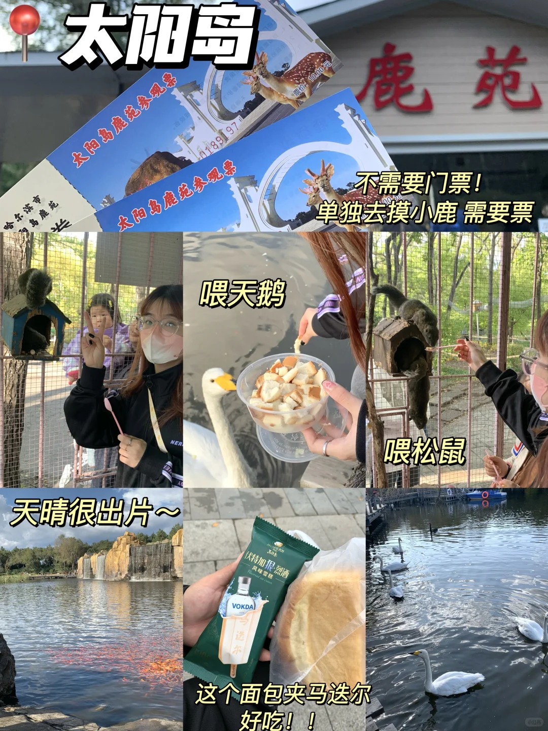 淡季哈尔滨📍旅游攻略（体验感拉满💕