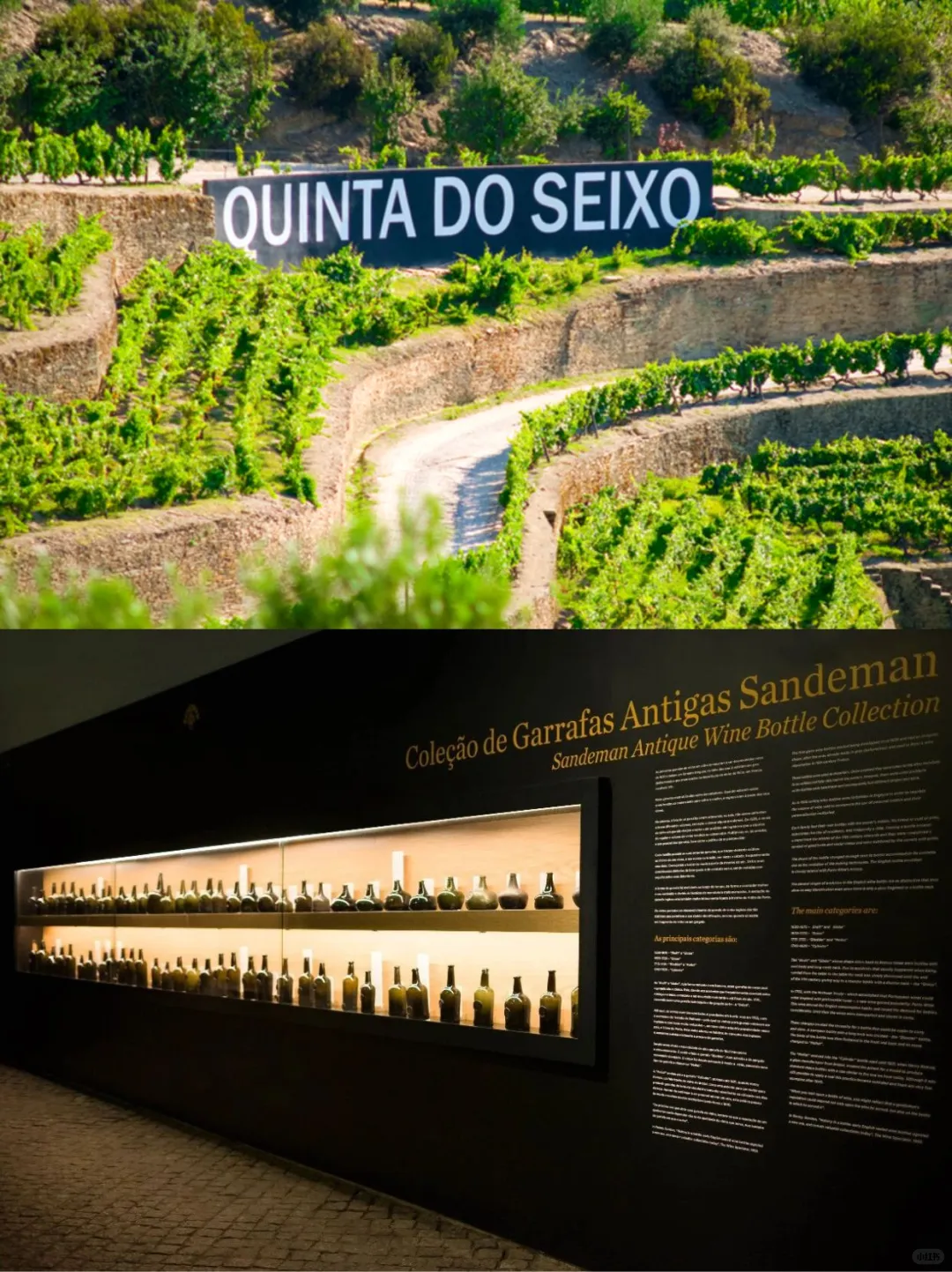 全新升级🔥春节深度巡游伊比利亚半岛✅