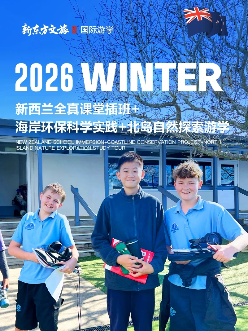 2026澳新游学清单🐨南半球反季节出行攻略