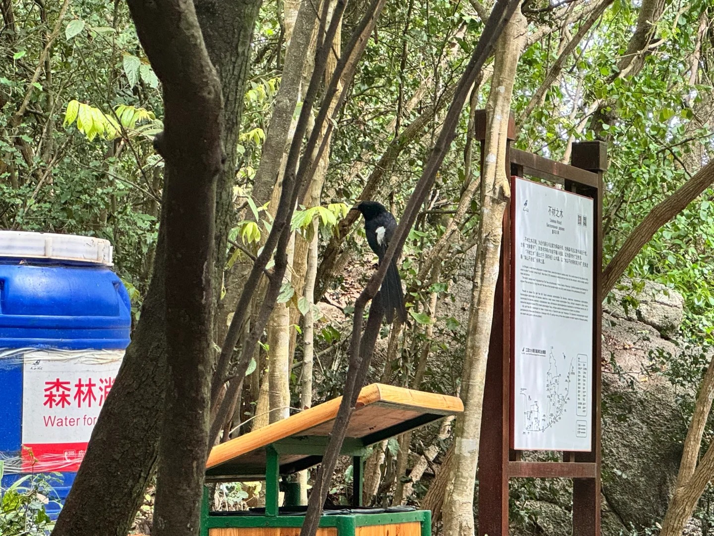 三亚｜大小洞天值得一去