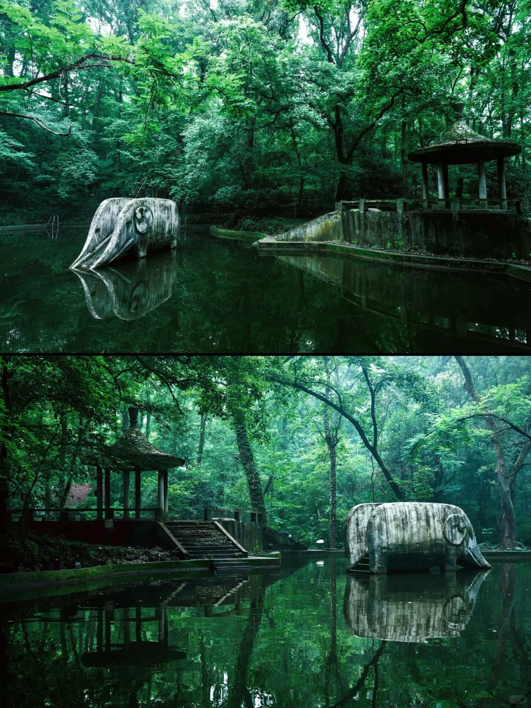 神秘感拉满❗南京本地人才知道的森林秘境