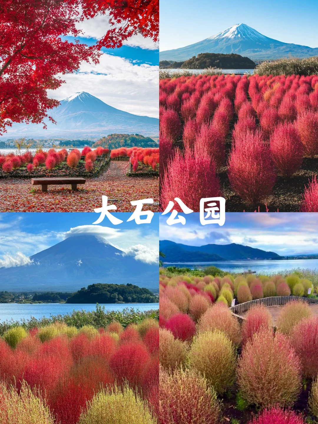 富士山｜秋季十大必打卡景点