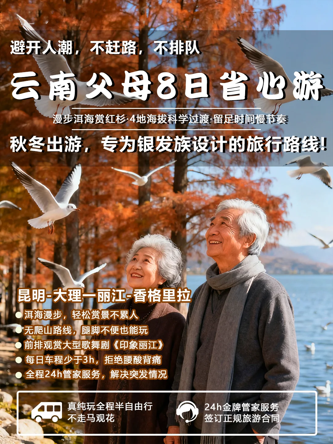 带父母来云南玩✅8天7晚探金秋🍂人均1k+