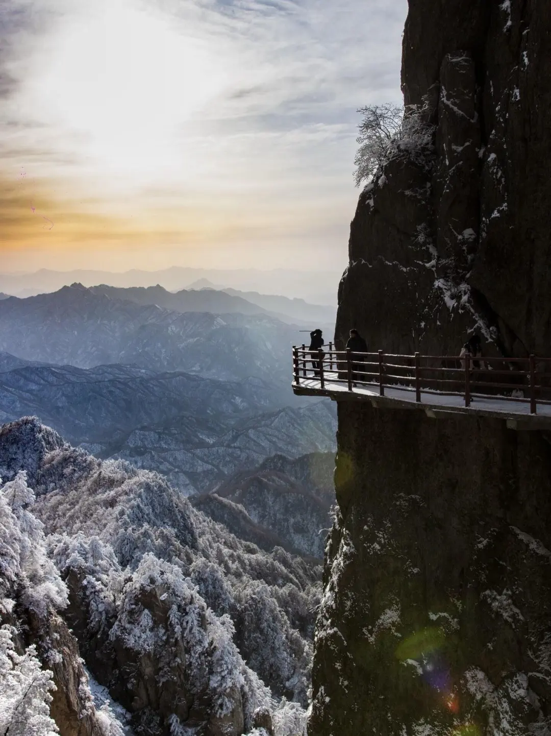 我大概是疯了❄️冬天去古城洛阳！但真的很美