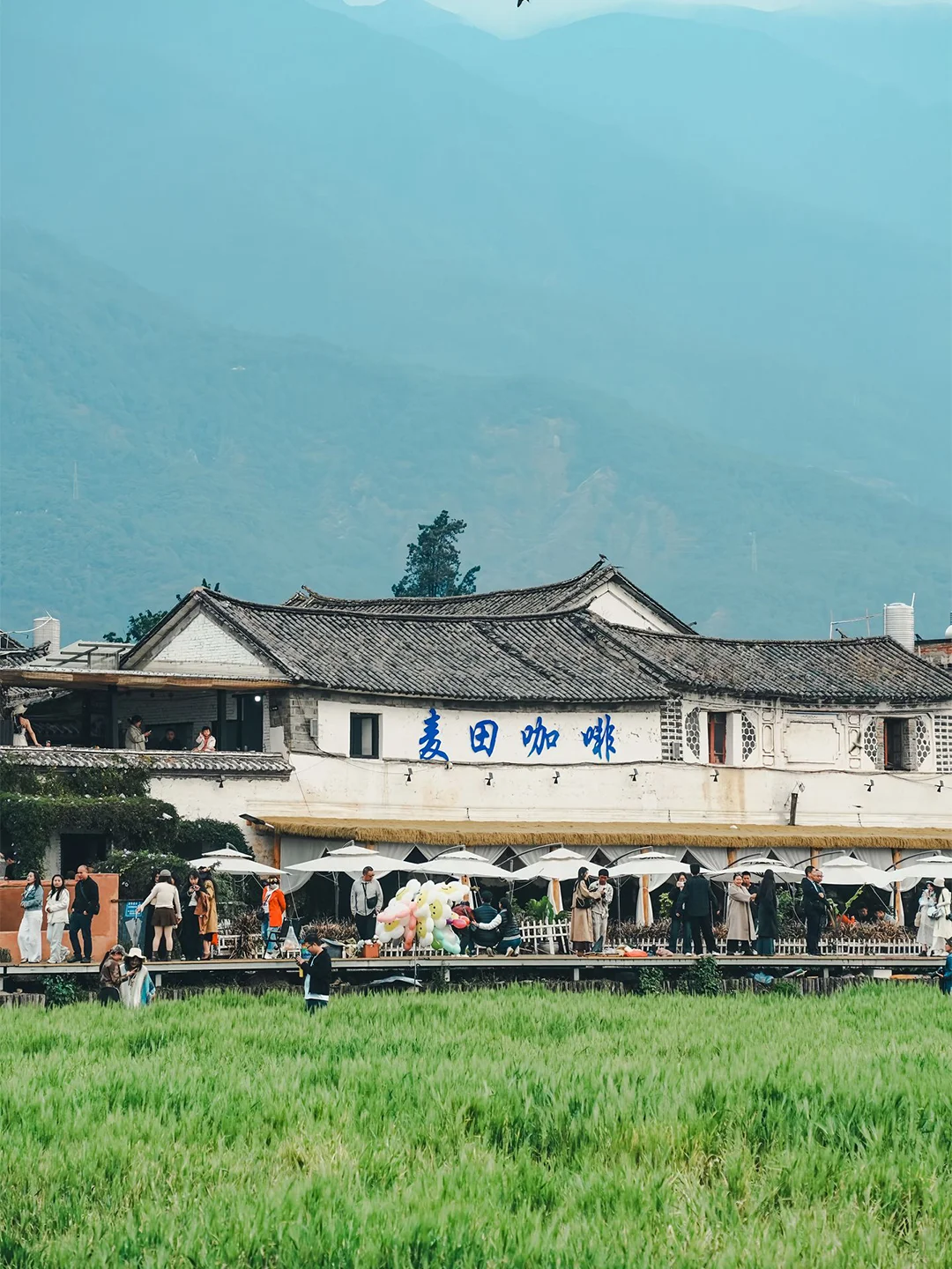 敲心动❗不挤人不赶路的云南轻奢纯玩游太爽