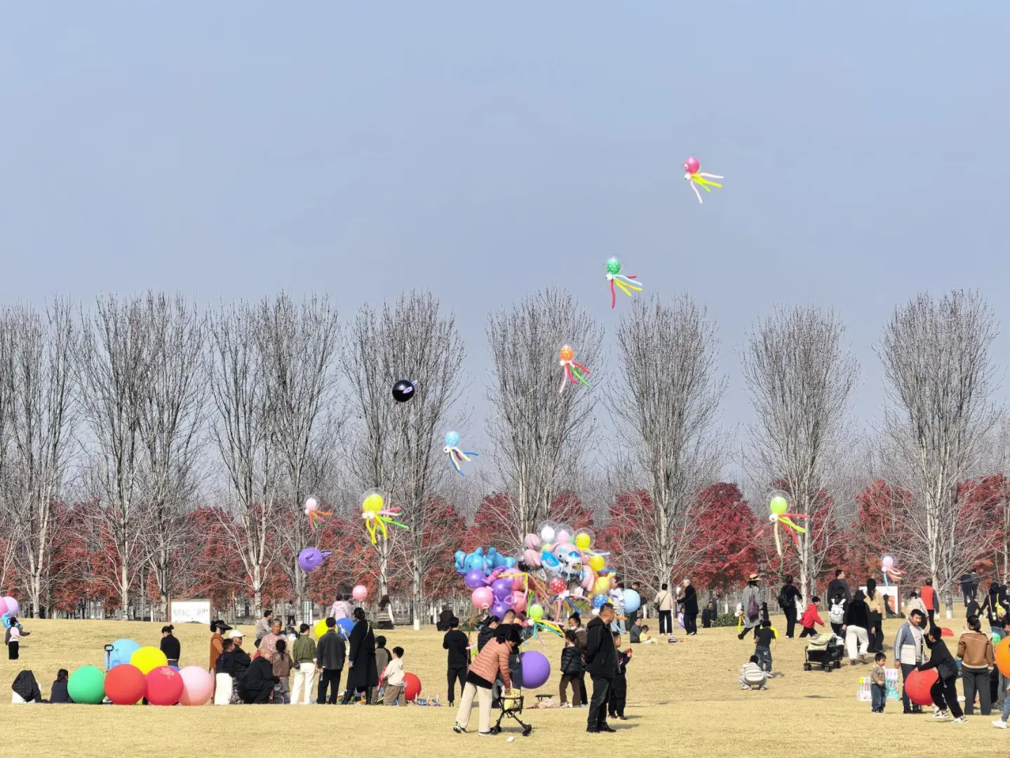 徐州秋天必来的公园坐火车赏枫、露营美翻了