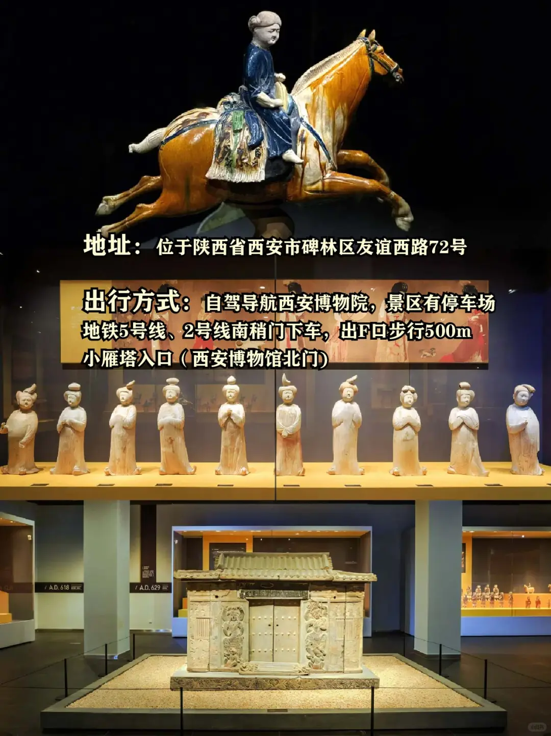 西安免费打卡三大景点✅西安博物院一日游