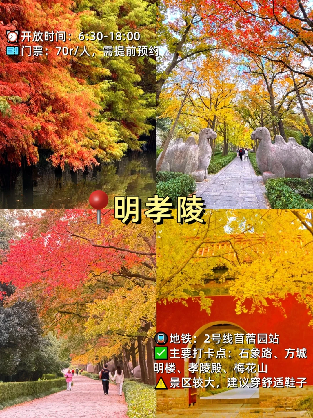 假期直接抄作业！南京旅游必打卡9大景点！