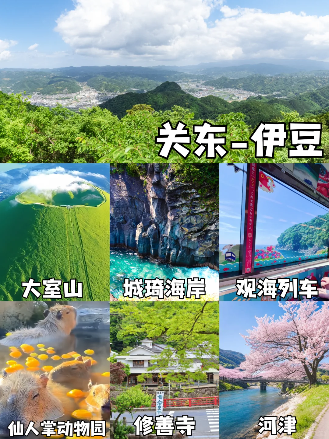 第一次去日本👘 关东VS关西怎么选？