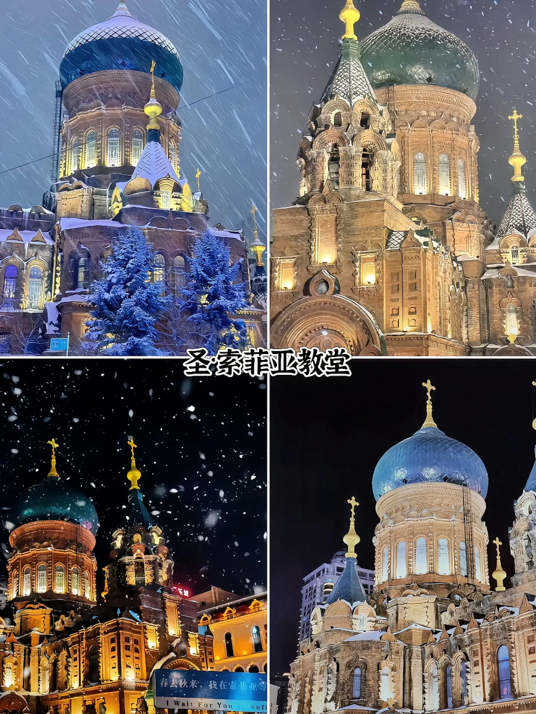 去哈尔滨必打卡的九大景点