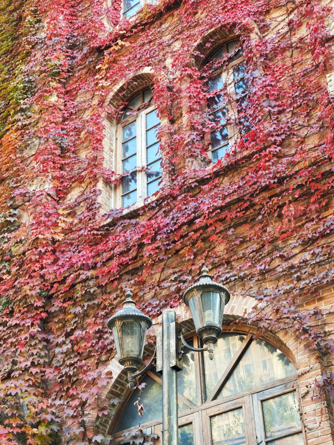 11.5实况❗天津古堡迎来了浪漫💞的时刻～