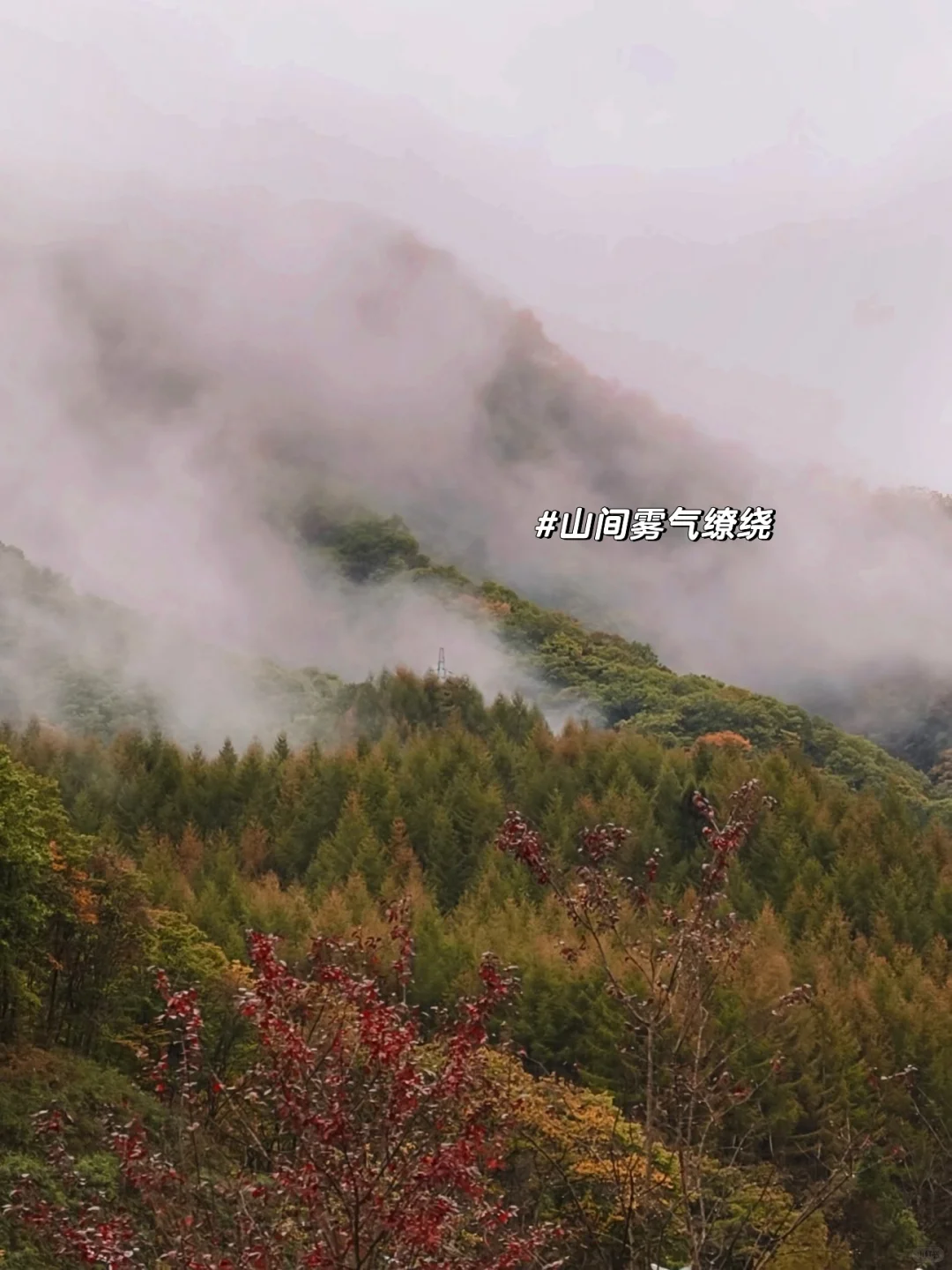 被《国家地理》安利的红叶第一山有多绝❗️