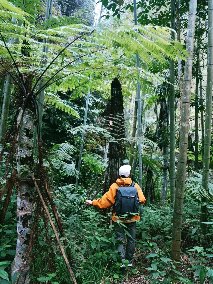《国家地理》没骗我！真的是被低估的宝藏小城