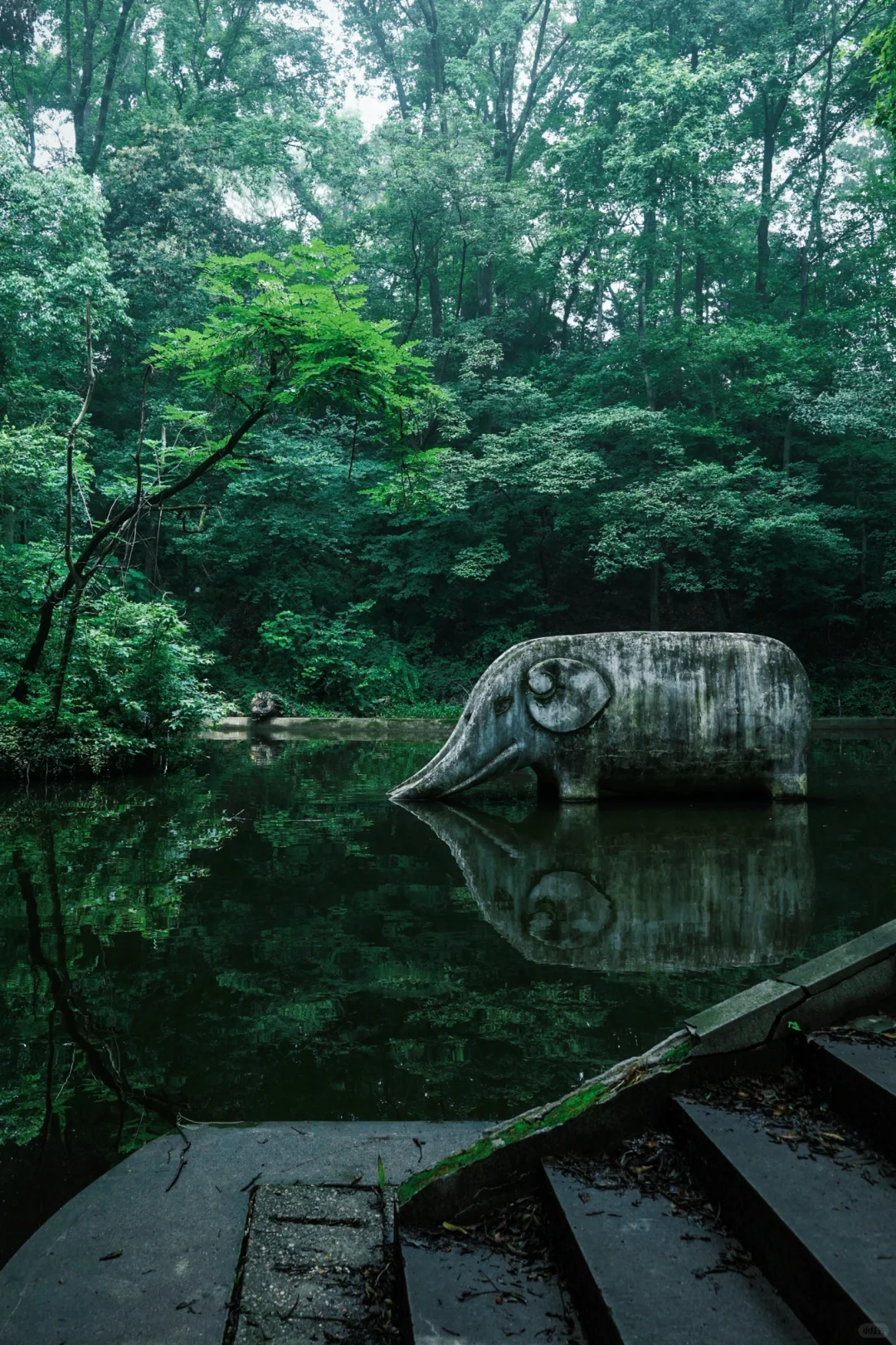 神秘感拉满❗南京本地人才知道的森林秘境