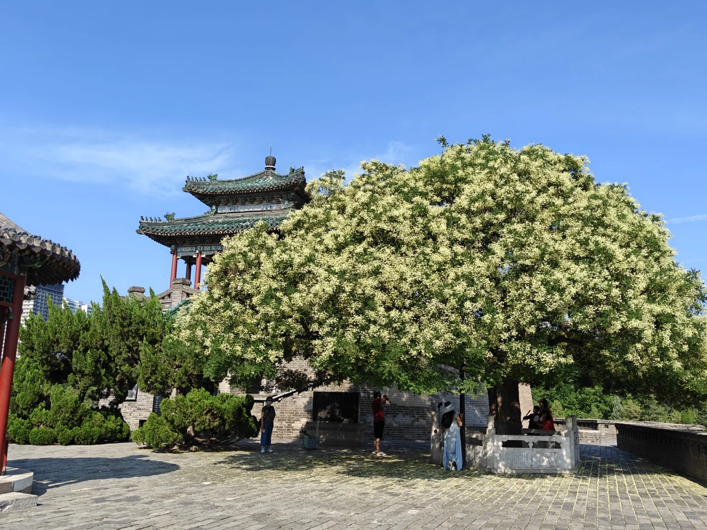 河北邯郸丛台公园