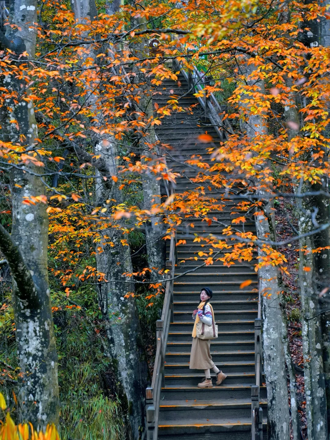 被《国家地理》安利的红叶第一山有多绝❗️
