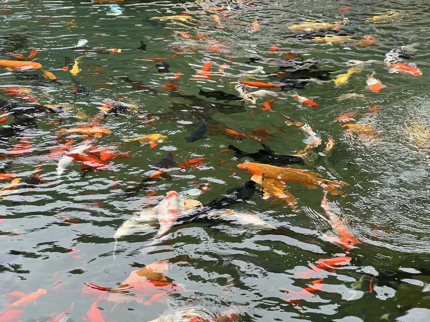 天津自驾-邯郸旅行攻略 石窟 访古 集章（上）