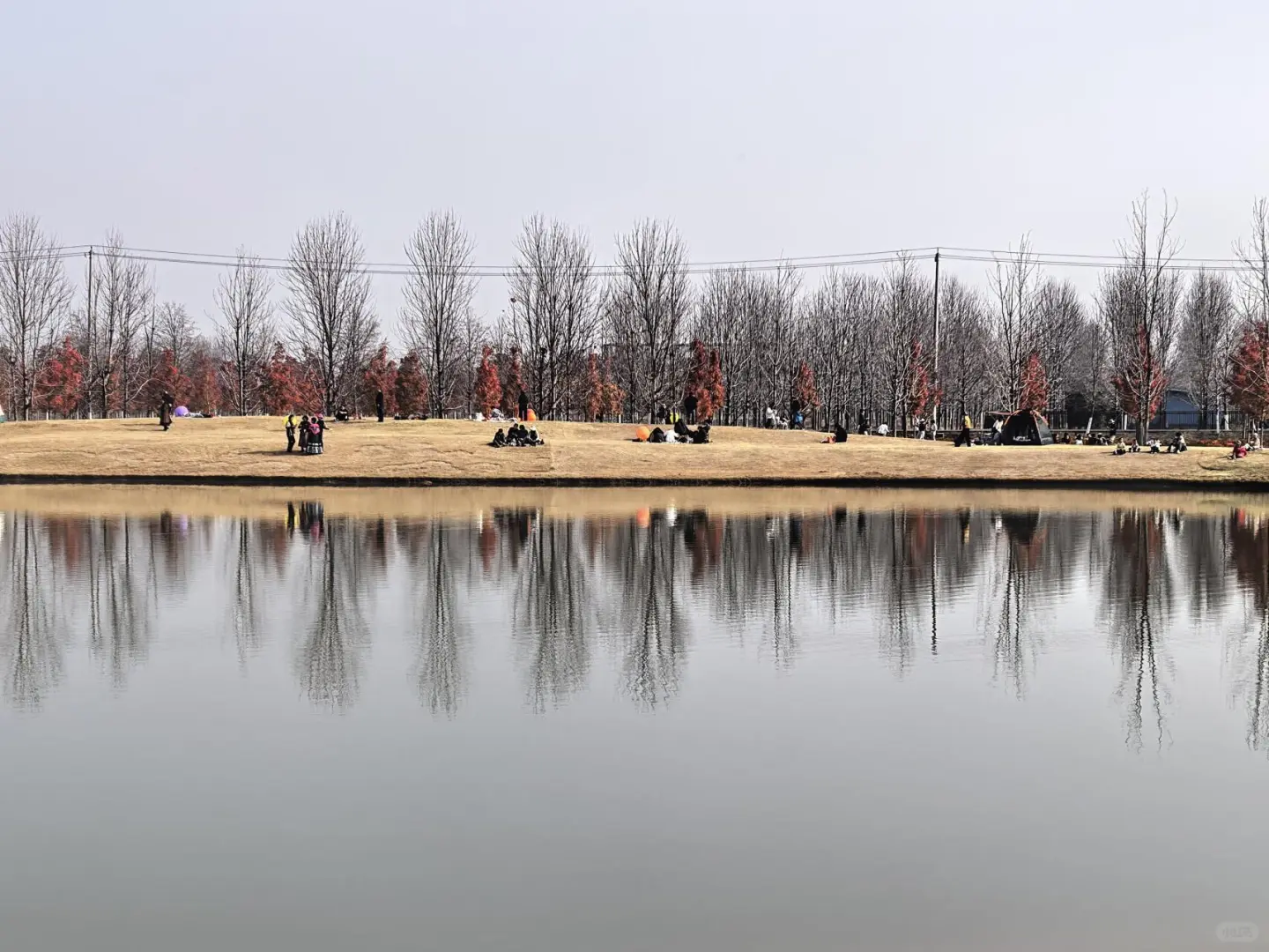 徐州秋天必来的公园坐火车赏枫、露营美翻了