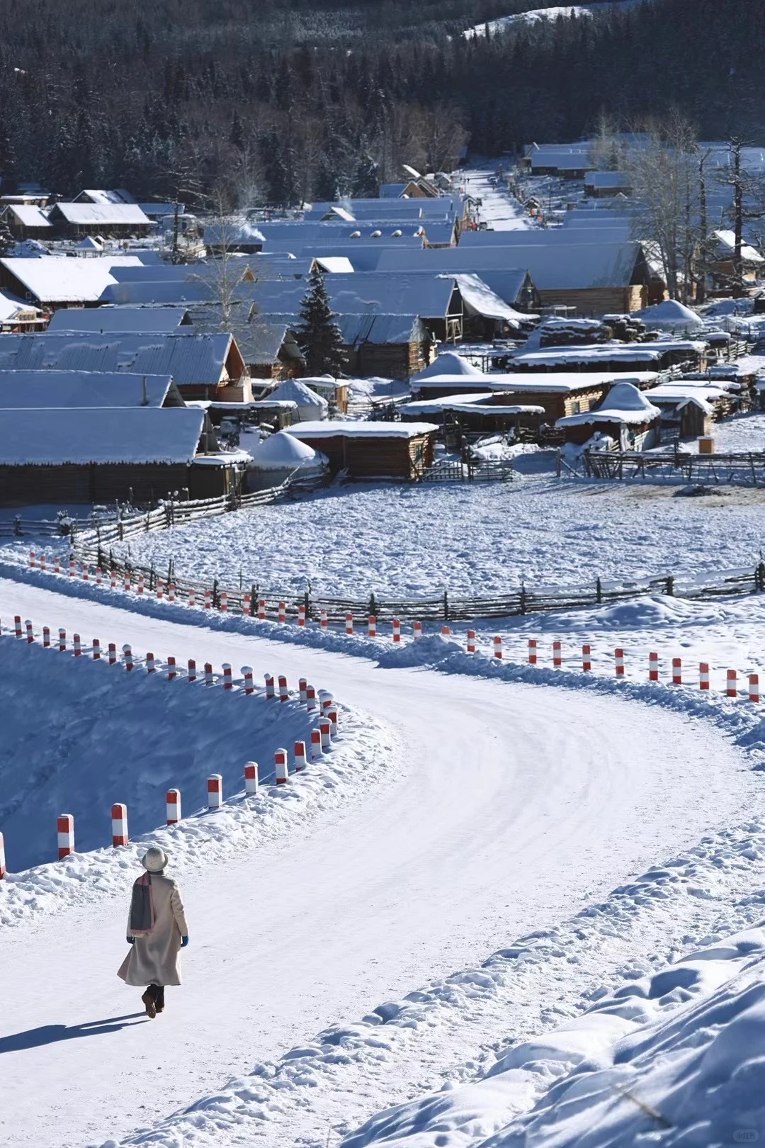今年冲禾木喀纳斯，选对团直接赢麻！