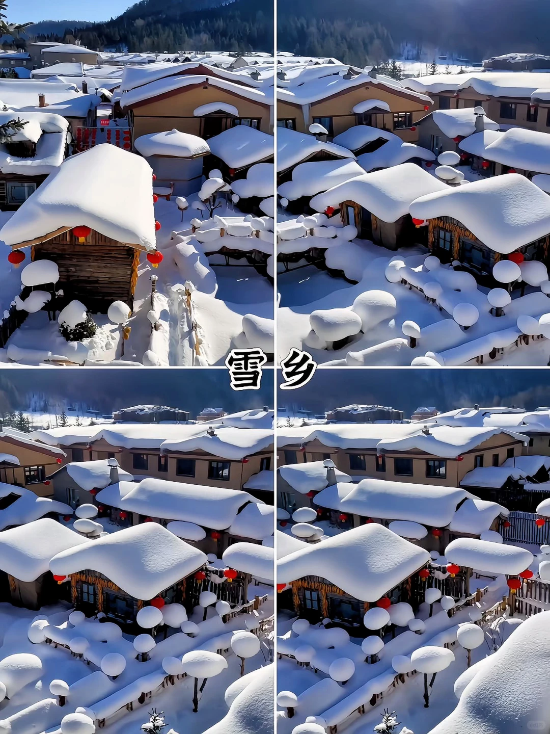 去哈尔滨必打卡的九大景点