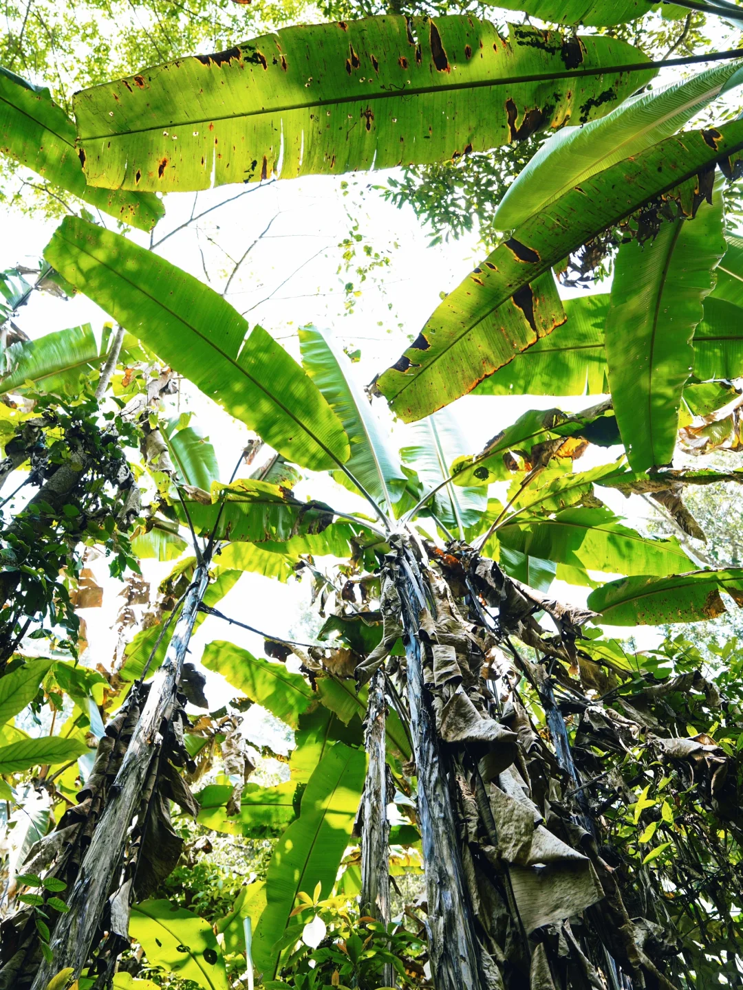 《国家地理》没骗我！真的是被低估的宝藏小城