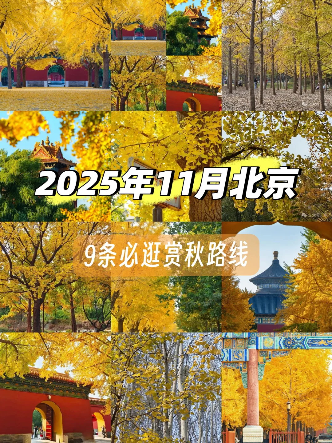 11月初北京必逛的citywalk和赏秋路线❗️❗️