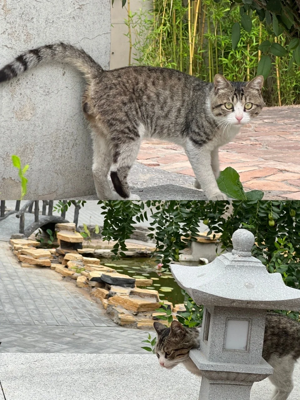 带娃逛响堂山！省心攻略大公开👶