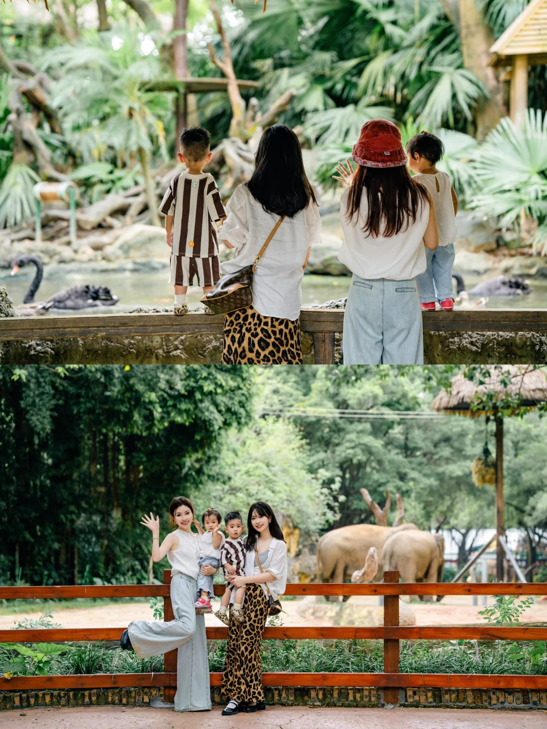 是谁带宝宝去长隆拍到了好看的照片📷