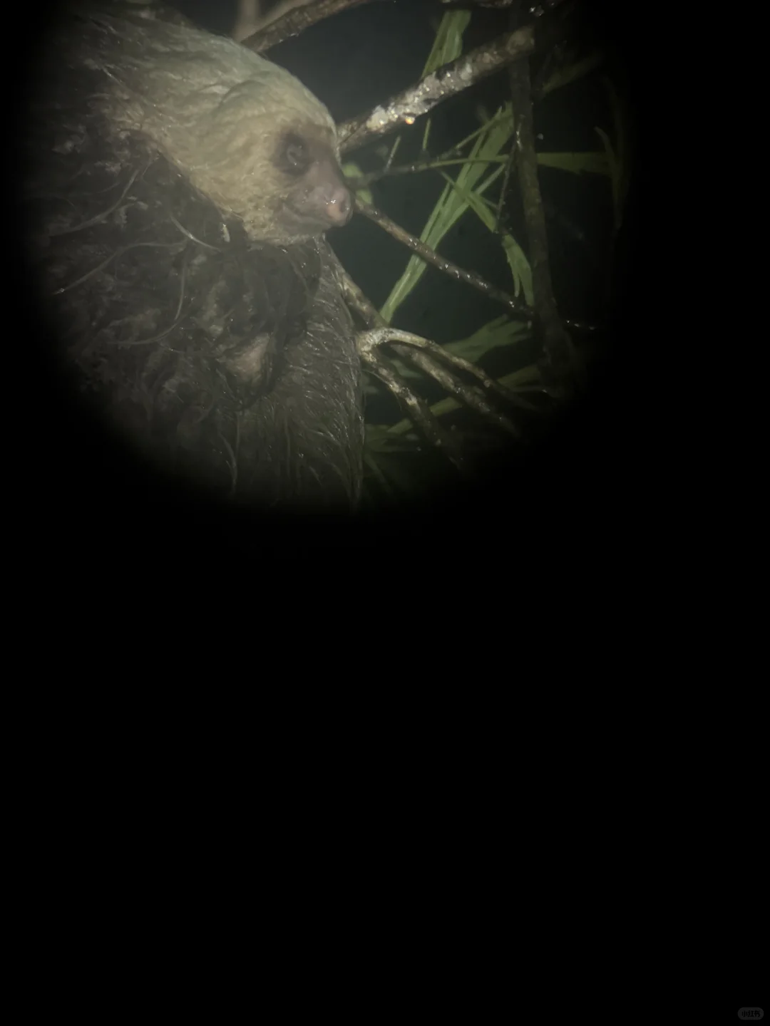 哥斯达黎加🇨🇷｜最全旅游攻略（上）