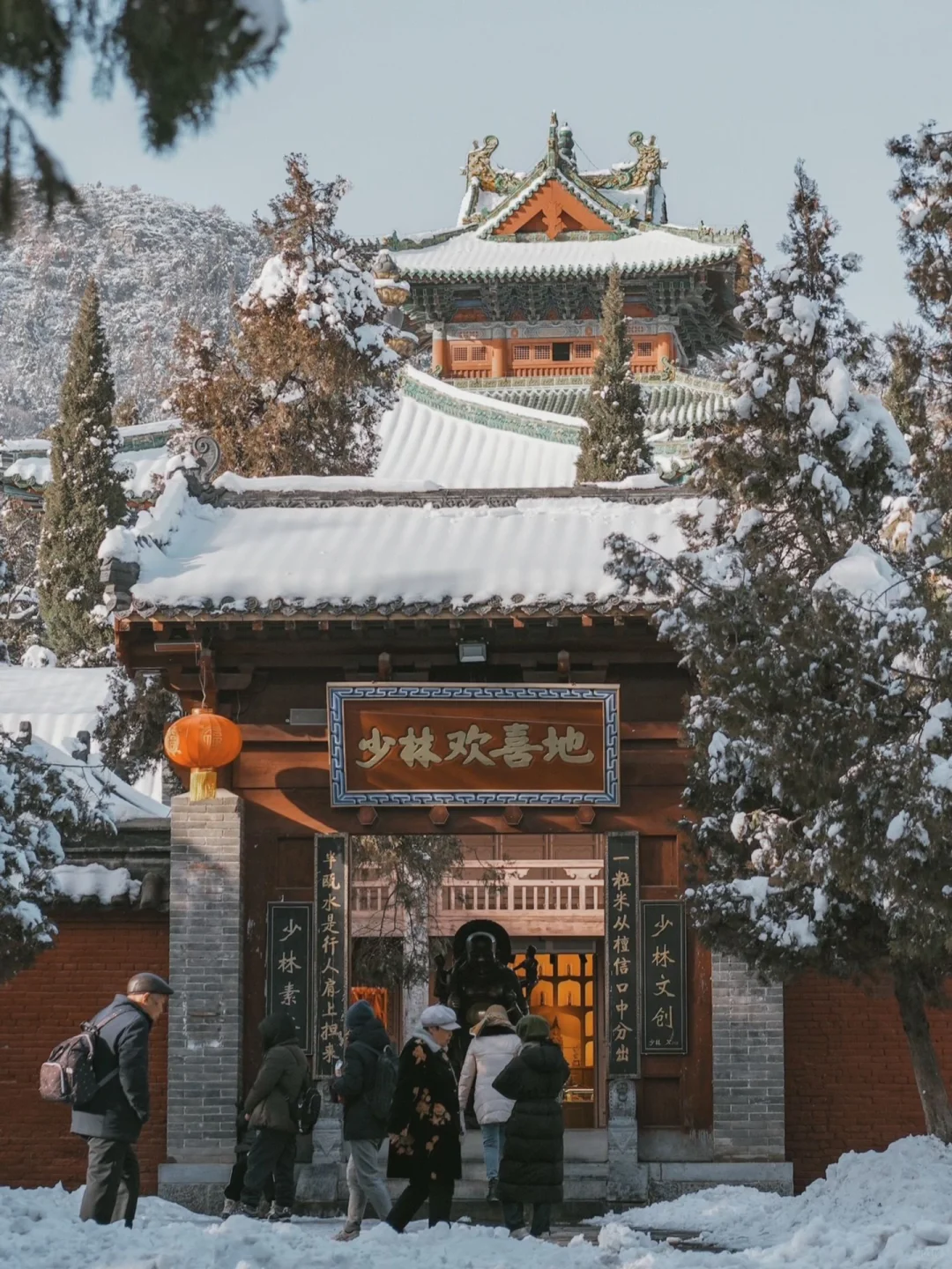 我大概是疯了❄️冬天去古城洛阳！但真的很美