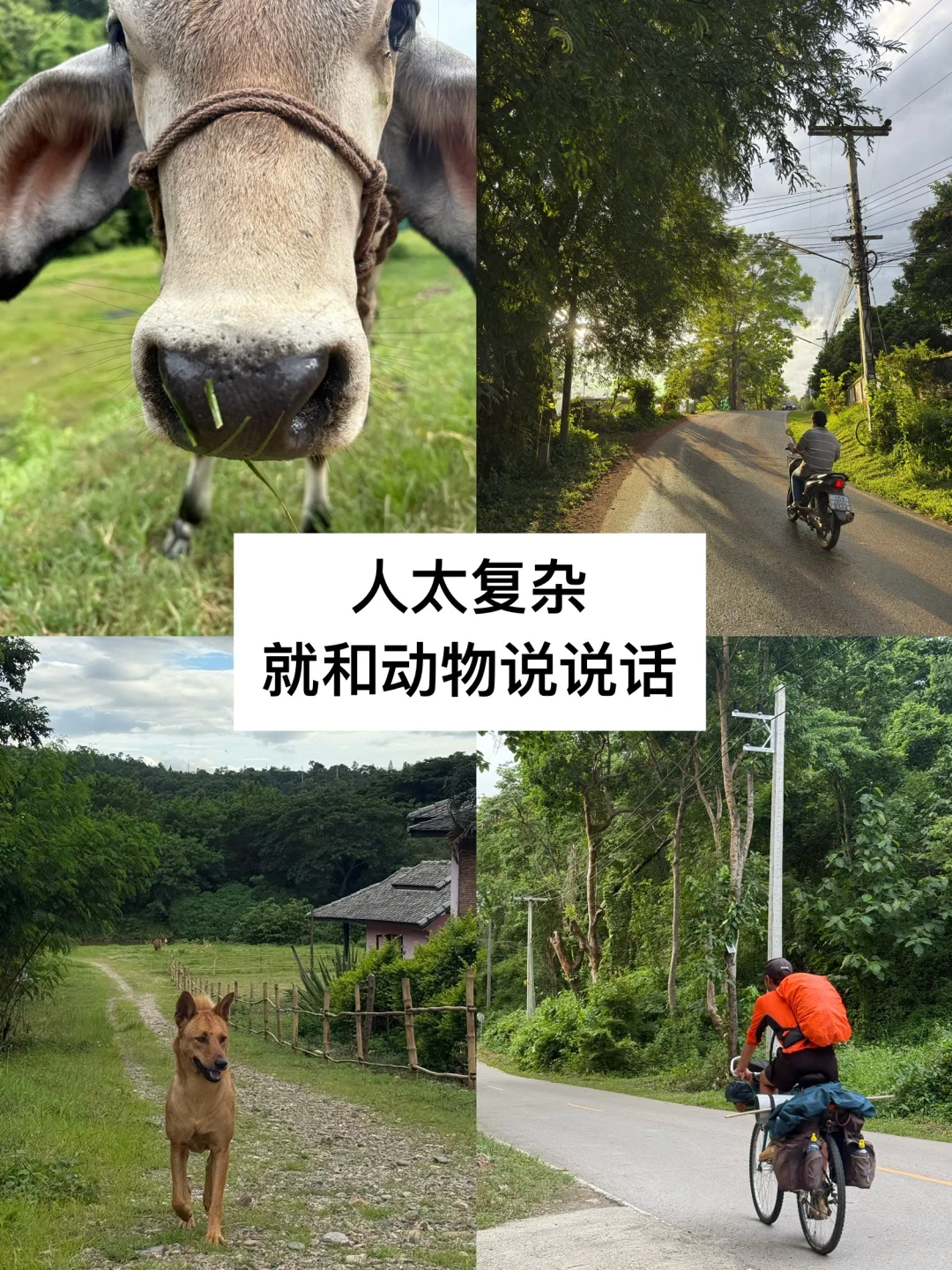 在这样的国外乡下 你能待多久