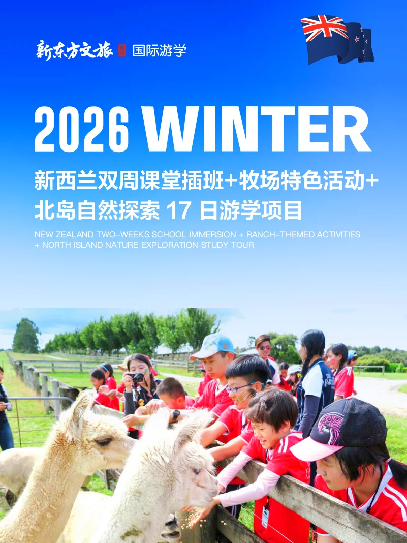2026澳新游学清单🐨南半球反季节出行攻略
