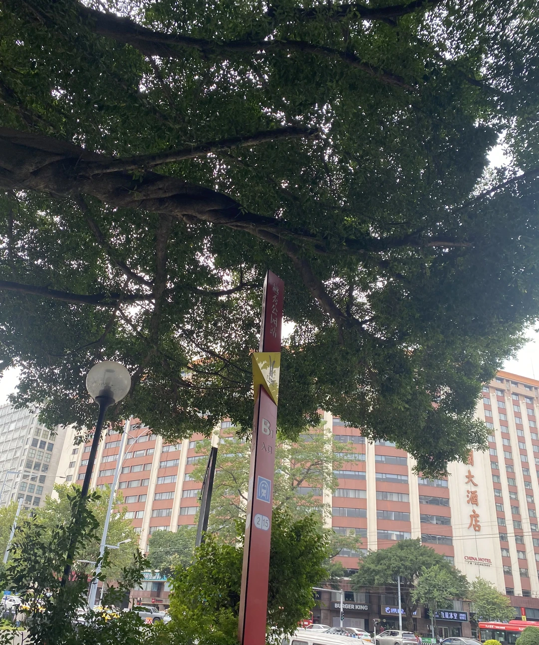 广州必玩之越秀公园超全攻略🎬