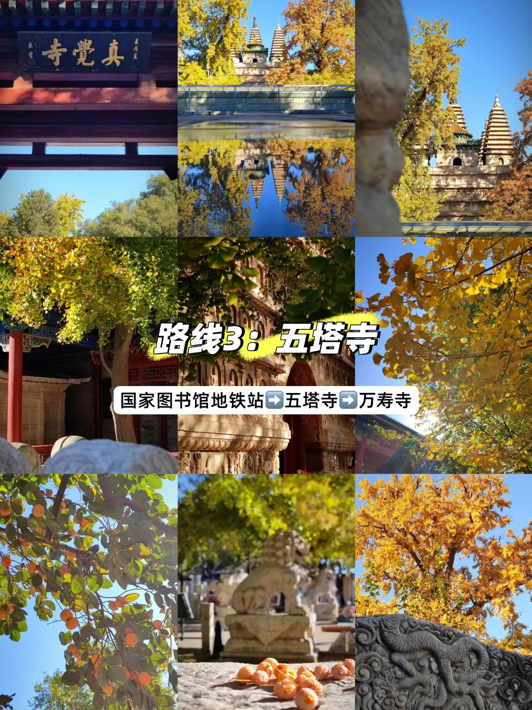 11月初北京必逛的citywalk和赏秋路线❗️❗️