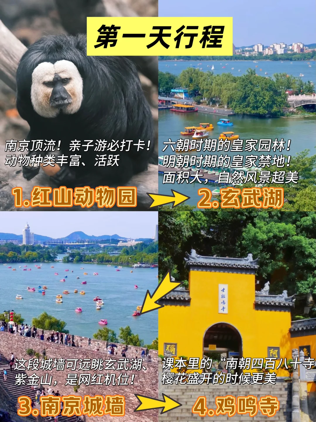 南京景点真实排行✅这些地方放心游❗️